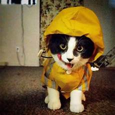 Ce Life Jacket