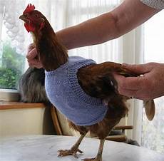 Knitwear Sweaters